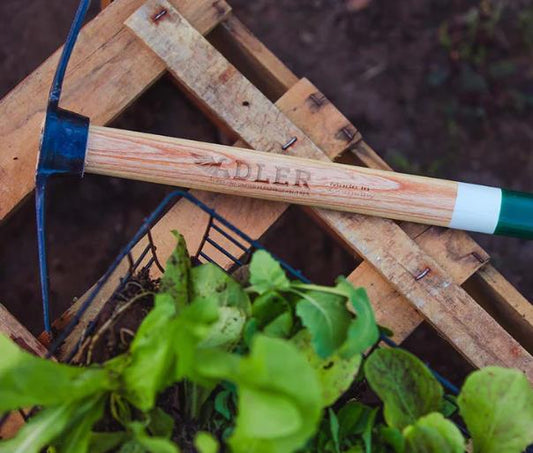 Gartenhacke 450 mm "Rosie S" Doppelhacke einzinkig geschmiedet stabil hochwertig