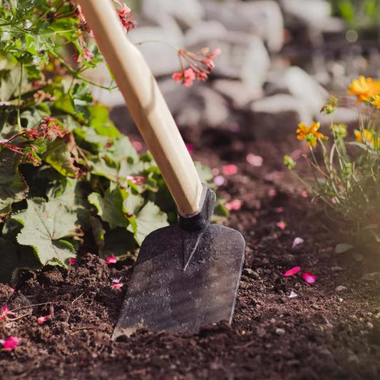 Gartenhacke "Sunny M" Heilbronner Hacke geschmiedet stabil hochwertig 1050 mm