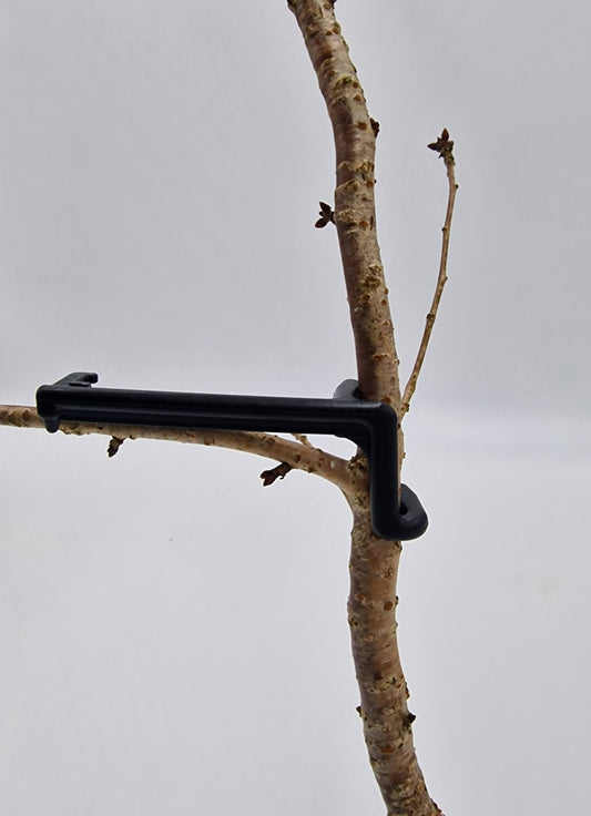 Astklammern Astspreizer für Obstbäume & Spaliergehölze Saftwaage 9 cm 15 Stück