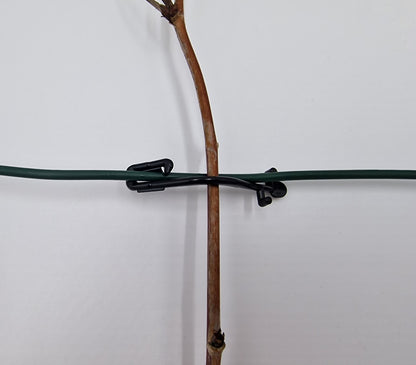 Raspberry clip wire clip for viticulture and berry cultivation, 100 pieces, plastic, 6.5 cm