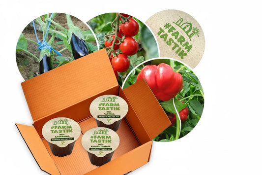 Tree planting kit "Woodruff" (1 each of larch, arborvitae, and sea buckthorn) - plastic-free 