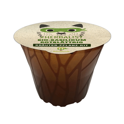 Tree planting kit "Woodruff" (1 each of larch, arborvitae, and sea buckthorn) - plastic-free 