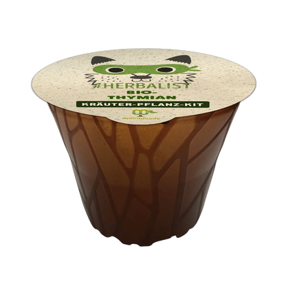 Tree planting kit "Woodruff" (1 each of larch, arborvitae, and sea buckthorn) - plastic-free 