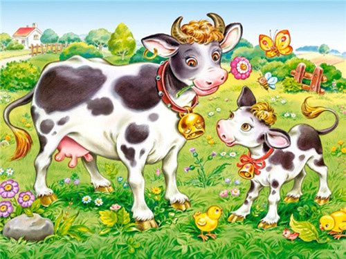 Malen nach Zahlen Erwachsene Kühe auf der Wiese 40x50 cm Paint by Numbers ohne Rahmen DIY Öl Acryl Leinwand Bild Dekoration Kalb Weide