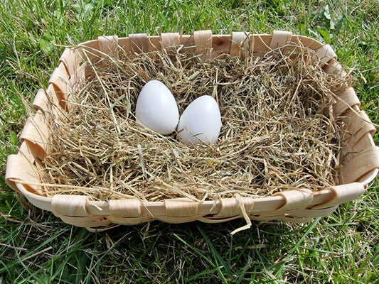 2 Gipseier für Legenest Hühnerei-Imitat Nesteier Huhn Geflügel handgemacht 2 Stück