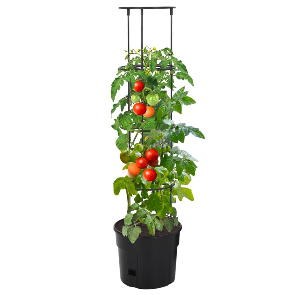 Tomatentopf Anthrazit Ø29,5x115 cm Polypropylen Pflanztopf Rankpflanze
