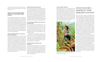 Haltbarmachen im Glasumdrehen - Sue Ivan - Sachbuch