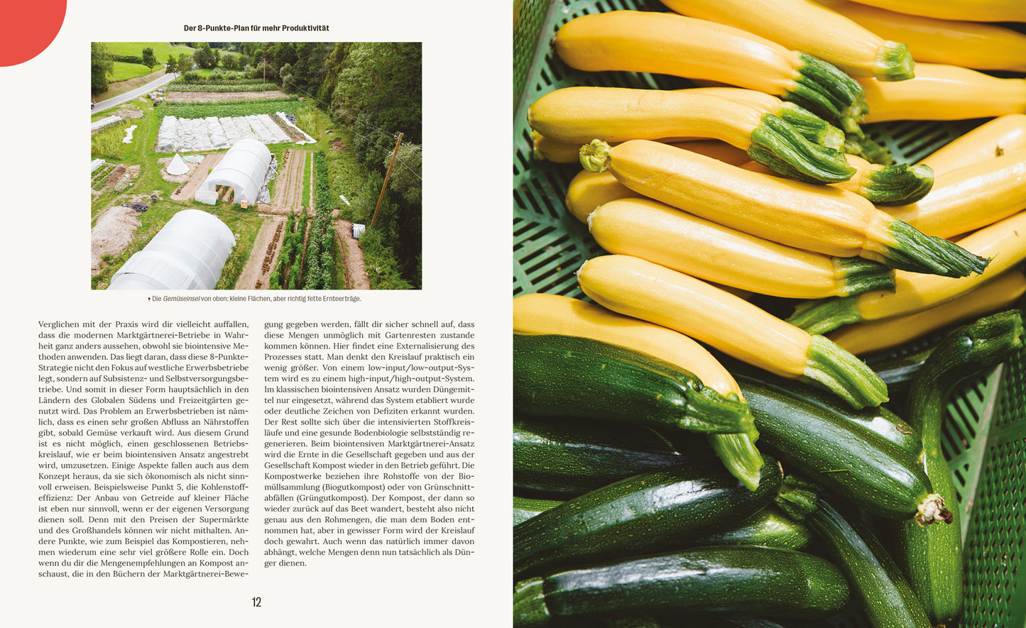 Market Gardening & Agroforst - Leon Schleep - Sachbuch