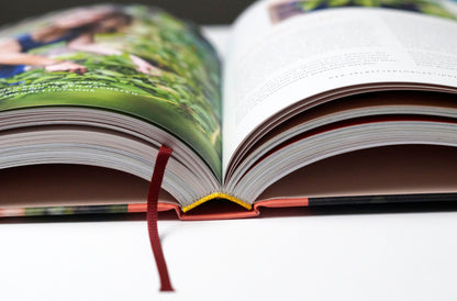 Selbstversorgung - Marie Diederich - Sachbuch