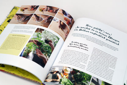 Dein fantastischer Balkongarten - Fühl dich Löwenzahn - Sachbuch