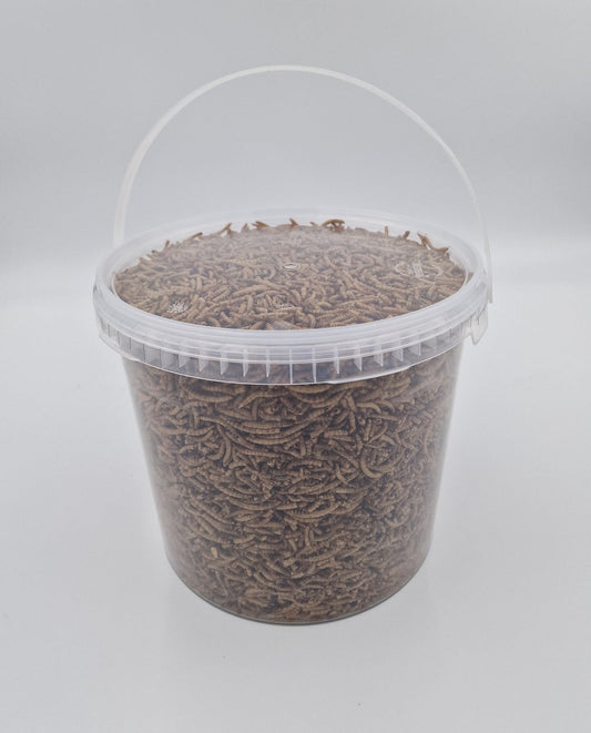 Mehlwürmer getrocknet Futtermittel für Geflügel Nager Reptilien Wildtiere 1 kg Eimer