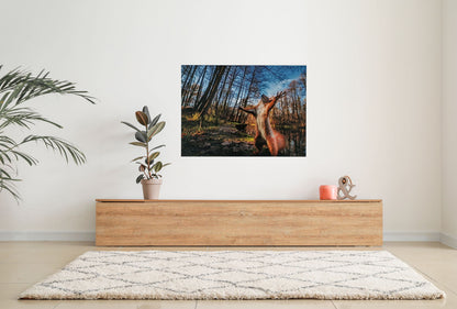 1000-piece puzzle, squirrel design, 69x51 cm, forest, nature, brain training