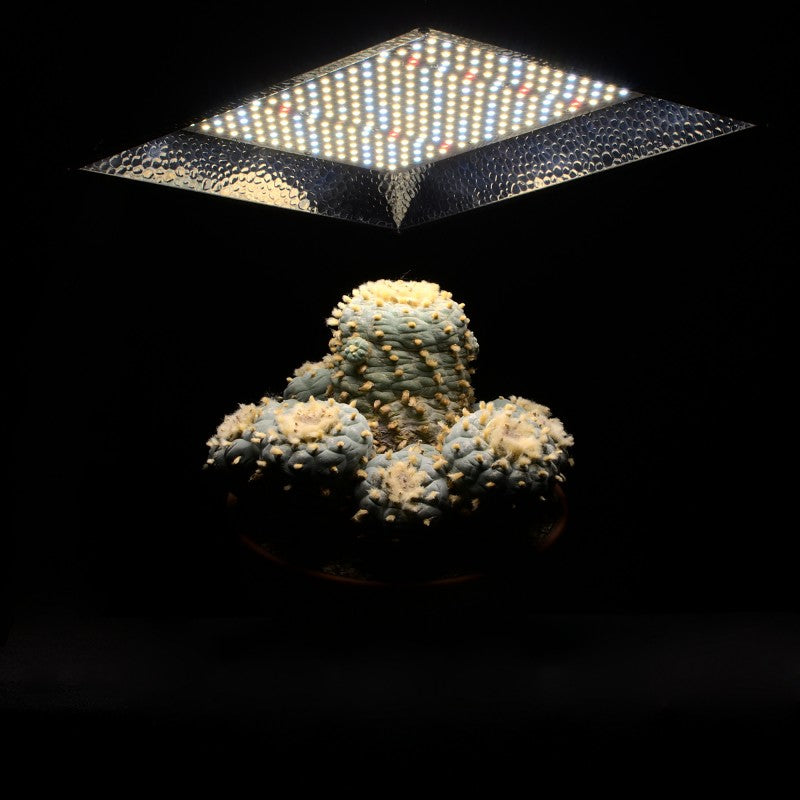 LED-Pflanzenlampe Floris dimmbar Vollspektrum 0,25 - 3m² Anzucht Wachstumslampe