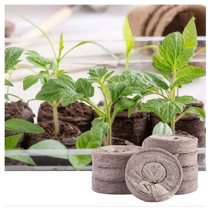 100 natural coconut coir pellets, peat-free potting soil, sowing pellets, grow tabs