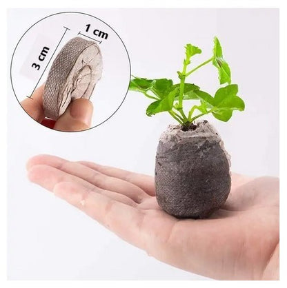 100 natural coconut coir pellets, peat-free potting soil, sowing pellets, grow tabs
