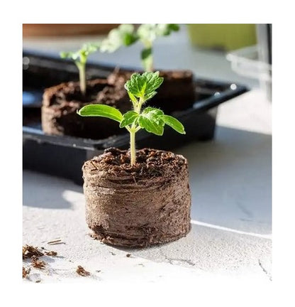 100 natural coconut coir pellets, peat-free potting soil, sowing pellets, grow tabs