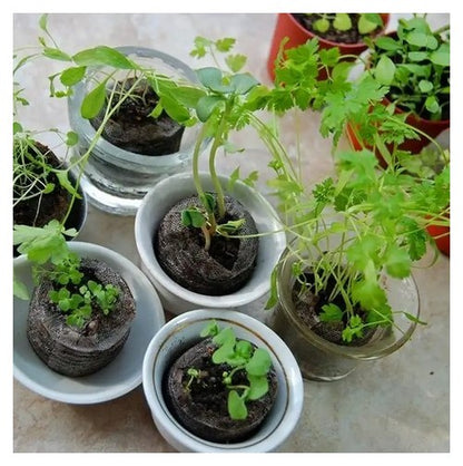 100 natural coconut coir pellets, peat-free potting soil, sowing pellets, grow tabs